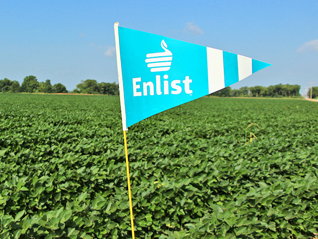 Enlist E3 soybeans come a step closer to commercialization in 2019, after China announced its import approval of that trait along with other biotech crop traits, Image by Corteva